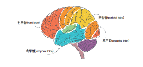 [메타인지의 시기] 몇 살부터 키워줘야 할까_1