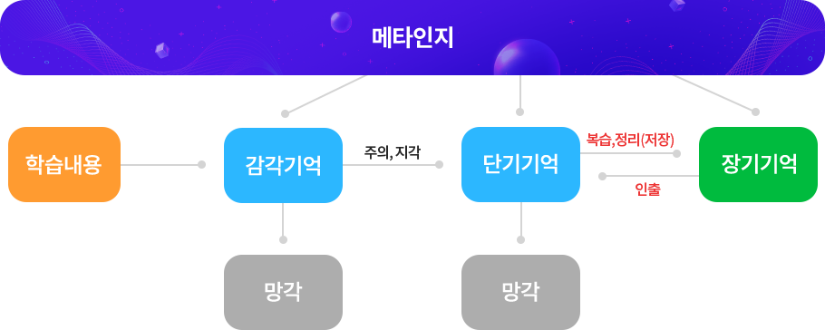 [비상은, 지금 2023년 02호] 온리원으로 오래가는 공부, 틀림없는 공부를!_5