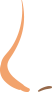 코4